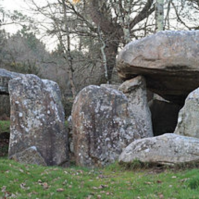 Photo de Dolmens de Kériaval à Carnac