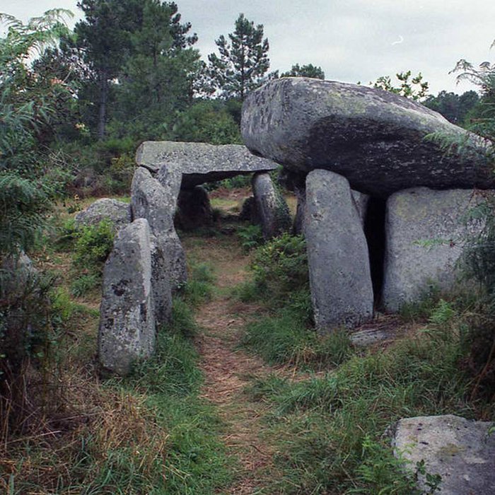 Photo de Dolmens de Kériaval à Carnac