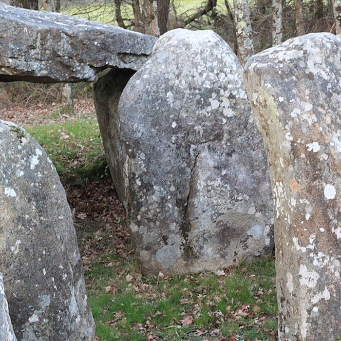 Photo de Dolmens de Kériaval à Carnac