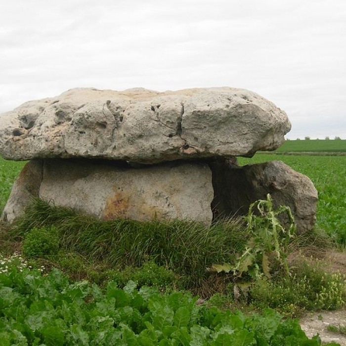 Photo de Dolmens de la Pierre Couverte à Marcilly-le-Hayer