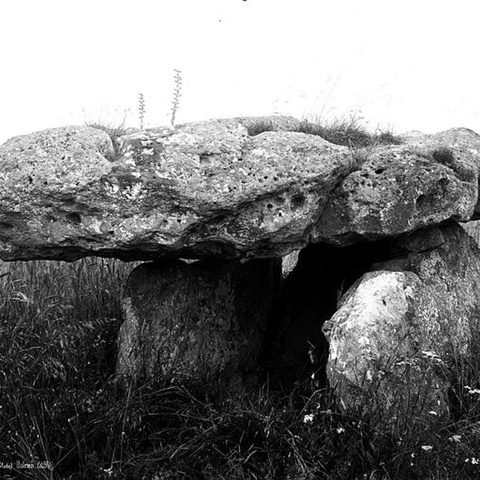 Photo de Dolmens de la Pierre Couverte à Marcilly-le-Hayer