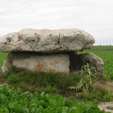 dolmens de la pierre couverte a marcilly le hayer