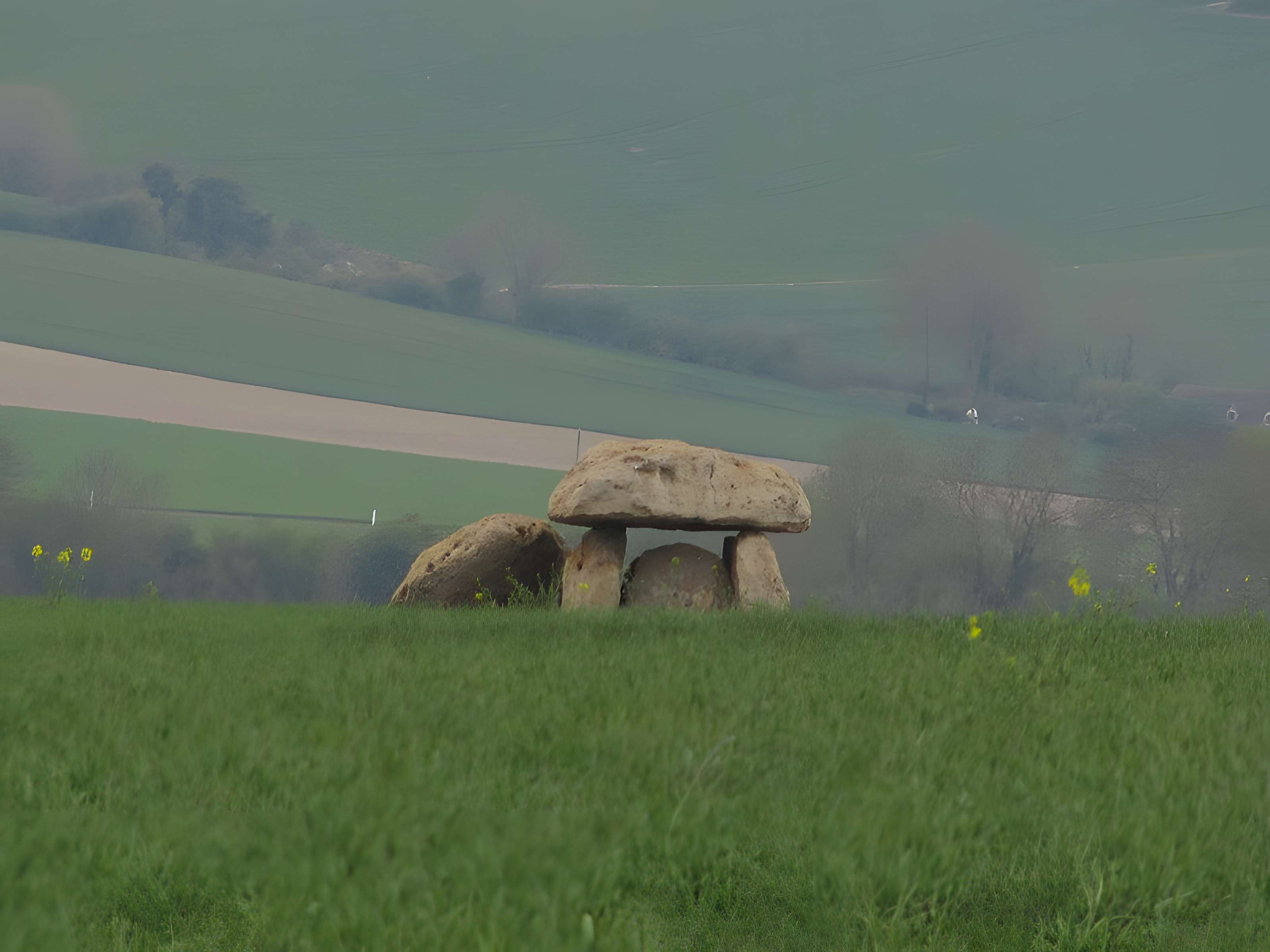 Dolmens de la Pierre Couverte à Marcilly-le-Hayer