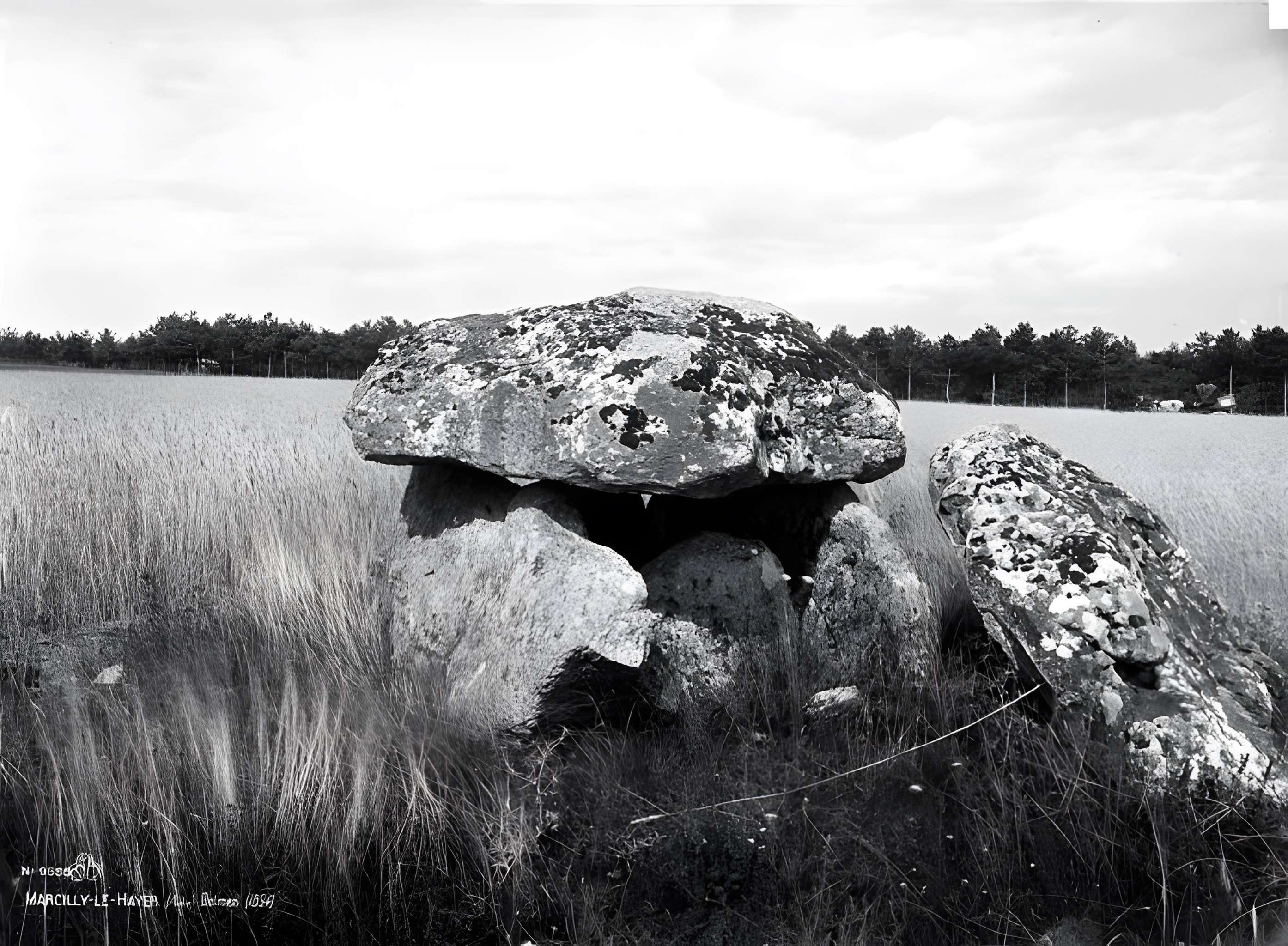 Dolmens de la Pierre Couverte à Marcilly-le-Hayer