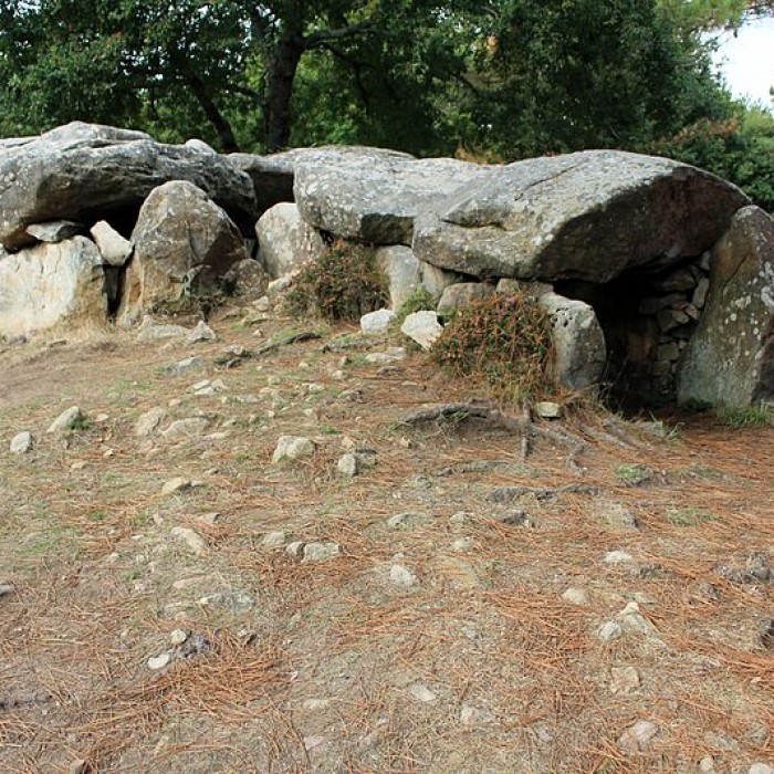 Photo de Dolmens de Mané-Bras dits Lann-Mané-Bras