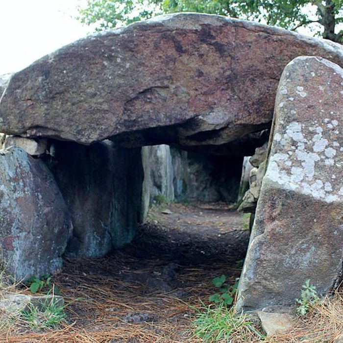 Photo de Dolmens de Mané-Bras dits Lann-Mané-Bras