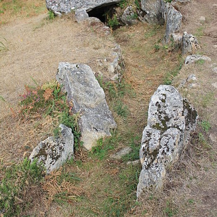 Photo de Dolmens de Mané-Bras dits Lann-Mané-Bras