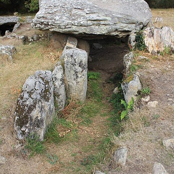 Photo de Dolmens de Mané-Bras dits Lann-Mané-Bras