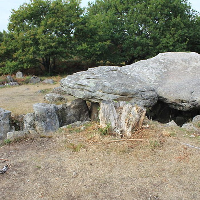 Photo de Dolmens de Mané-Bras dits Lann-Mané-Bras