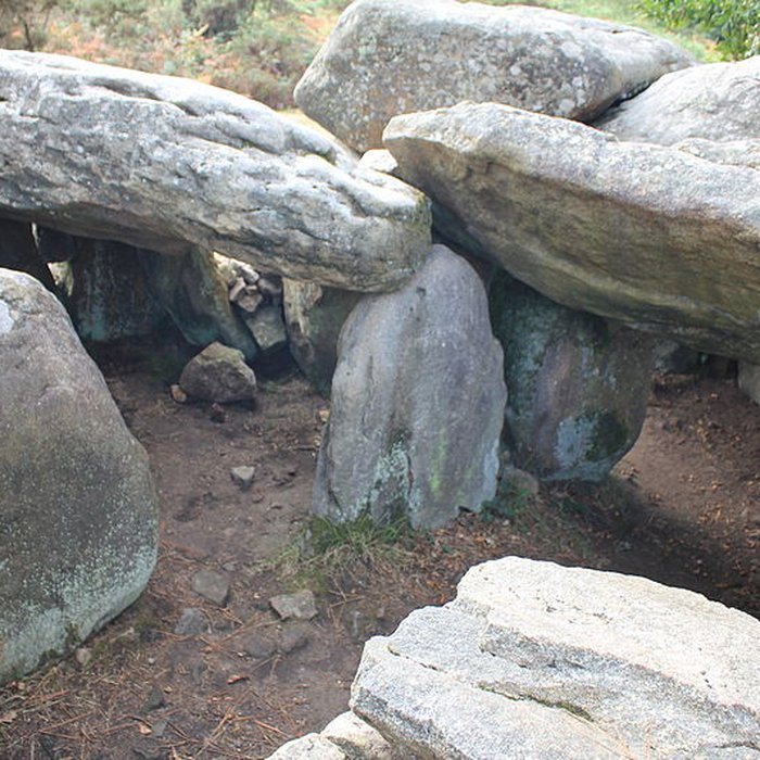 Photo de Dolmens de Mané-Bras dits Lann-Mané-Bras