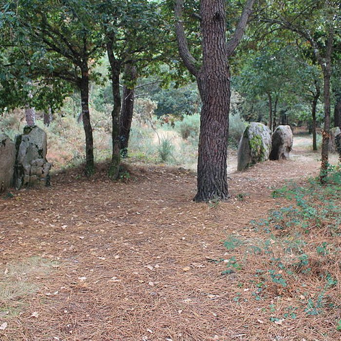 Photo de Dolmens de Mané-Bras dits Lann-Mané-Bras