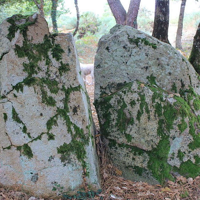 Photo de Dolmens de Mané-Bras dits Lann-Mané-Bras