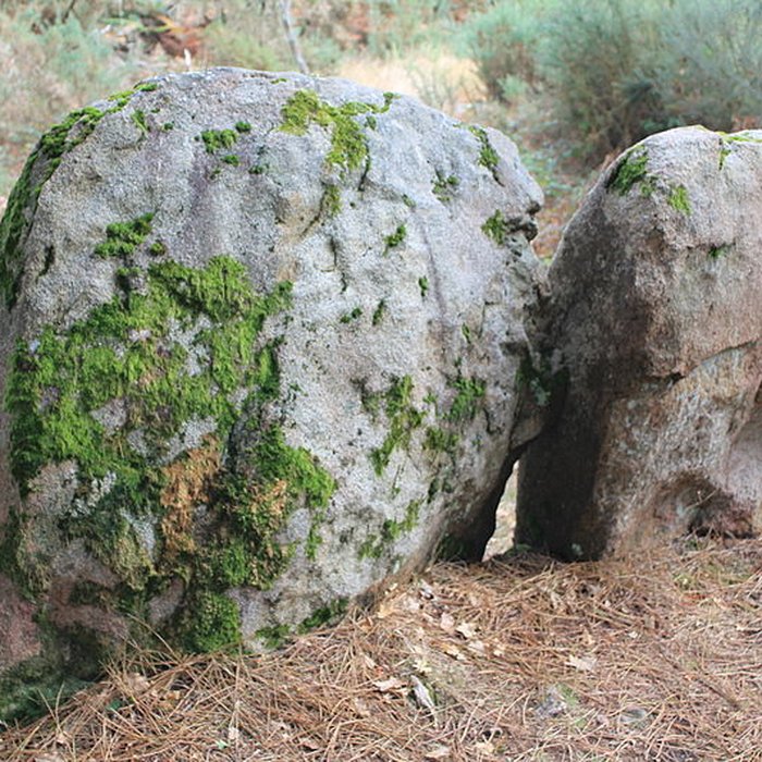 Photo de Dolmens de Mané-Bras dits Lann-Mané-Bras
