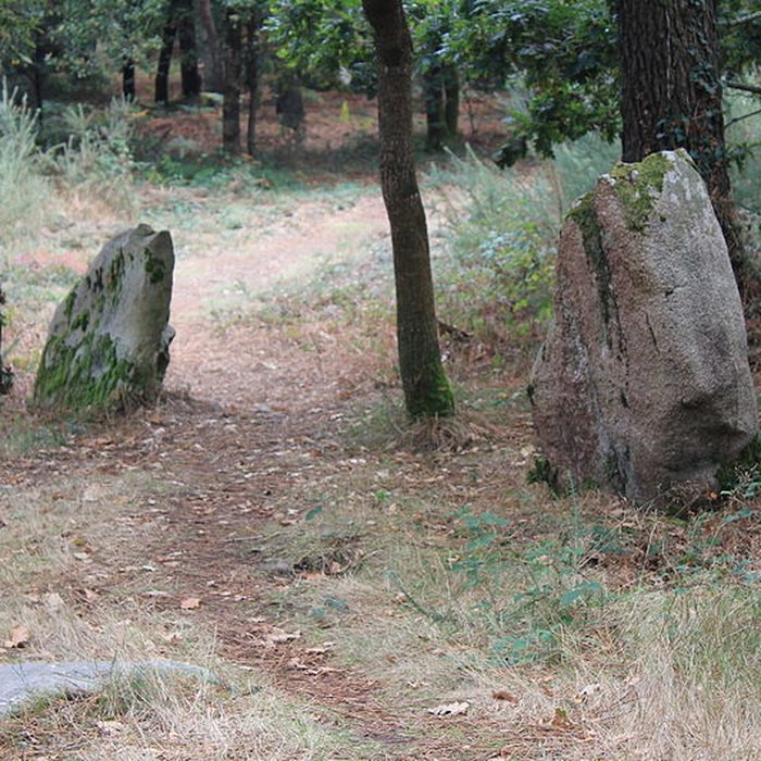Photo de Dolmens de Mané-Bras dits Lann-Mané-Bras