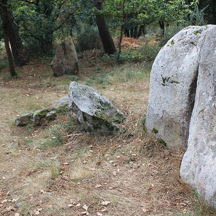 Photo de Dolmens de Mané-Bras dits Lann-Mané-Bras