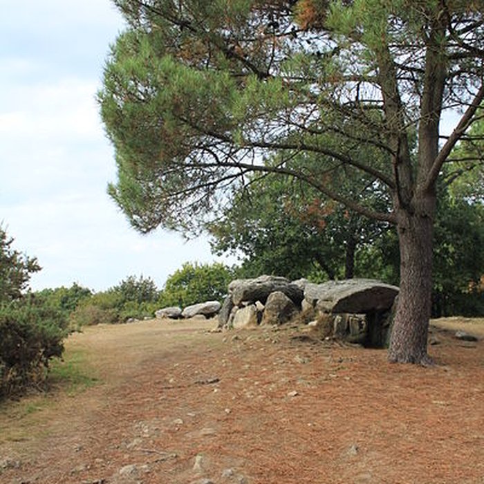 Photo de Dolmens de Mané-Bras dits Lann-Mané-Bras