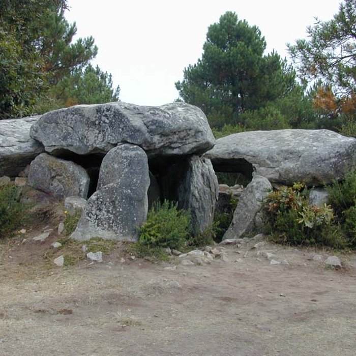 Photo de Dolmens de Mané-Bras dits Lann-Mané-Bras