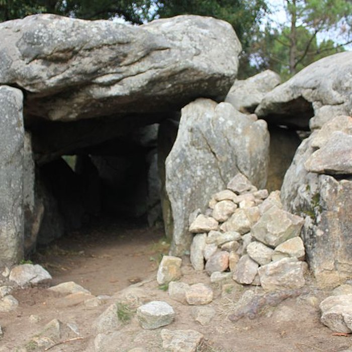 Photo de Dolmens de Mané-Bras dits Lann-Mané-Bras