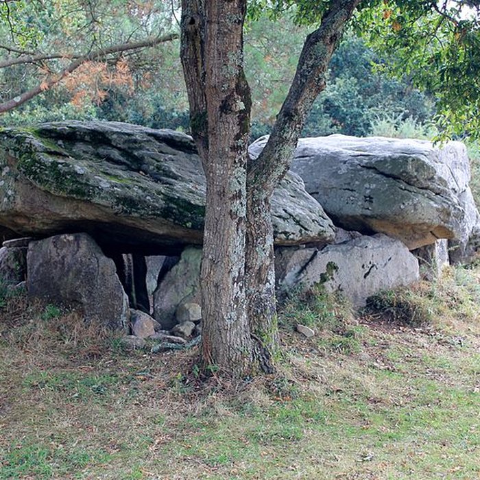 Photo de Dolmens de Mané-Bras dits Lann-Mané-Bras