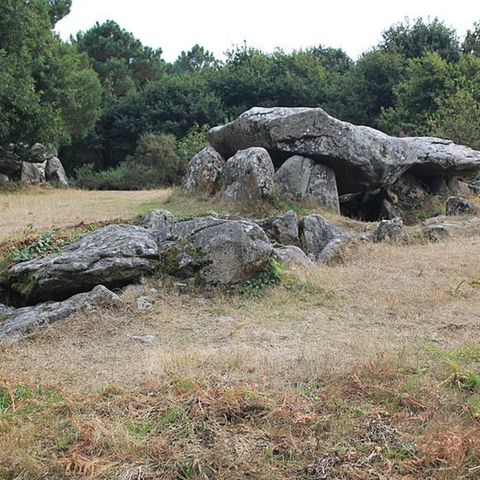 Photo de Dolmens de Mané-Bras dits Lann-Mané-Bras