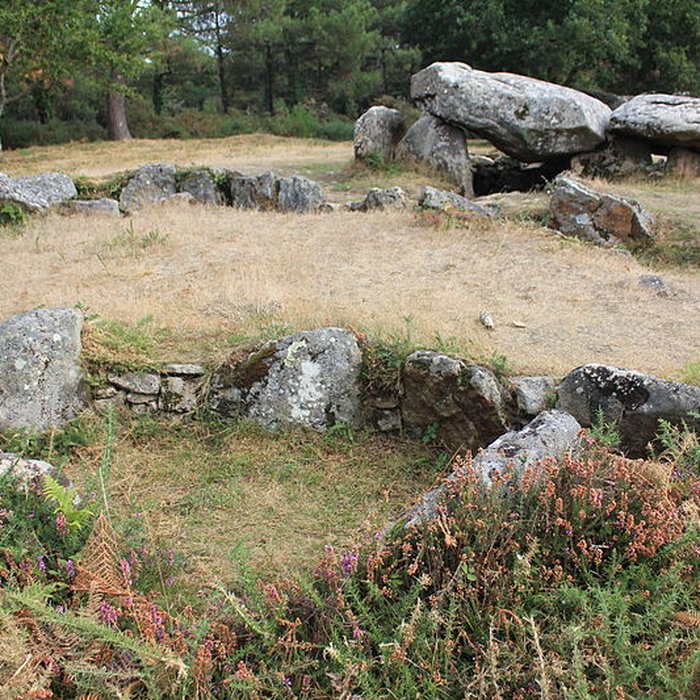 Photo de Dolmens de Mané-Bras dits Lann-Mané-Bras