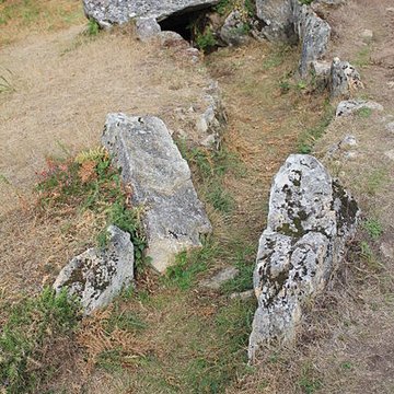 Dolmens de Mané-Bras dits Lann-Mané-Bras