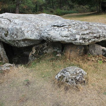 Dolmens de Mané-Bras dits Lann-Mané-Bras