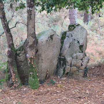 Dolmens de Mané-Bras dits Lann-Mané-Bras