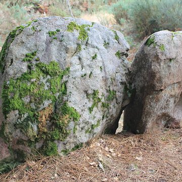 Dolmens de Mané-Bras dits Lann-Mané-Bras