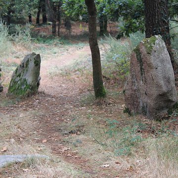 Dolmens de Mané-Bras dits Lann-Mané-Bras