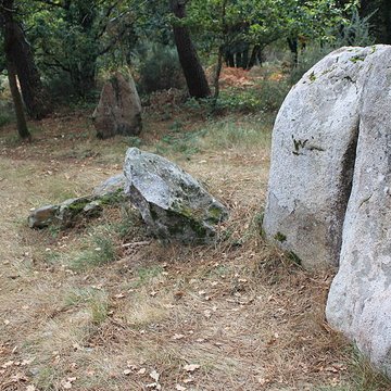 Dolmens de Mané-Bras dits Lann-Mané-Bras