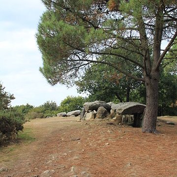 Dolmens de Mané-Bras dits Lann-Mané-Bras