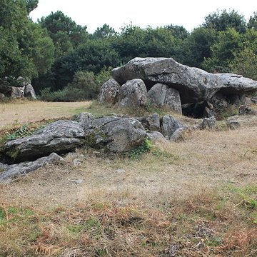 Dolmens de Mané-Bras dits Lann-Mané-Bras