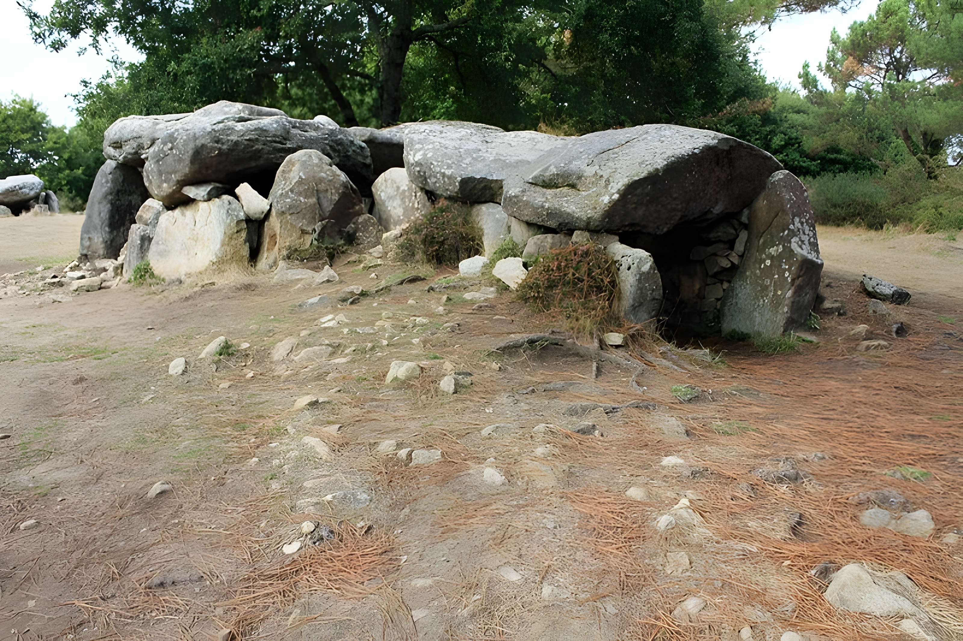 Dolmens de Lann-Mané-Bras à Erdeven 