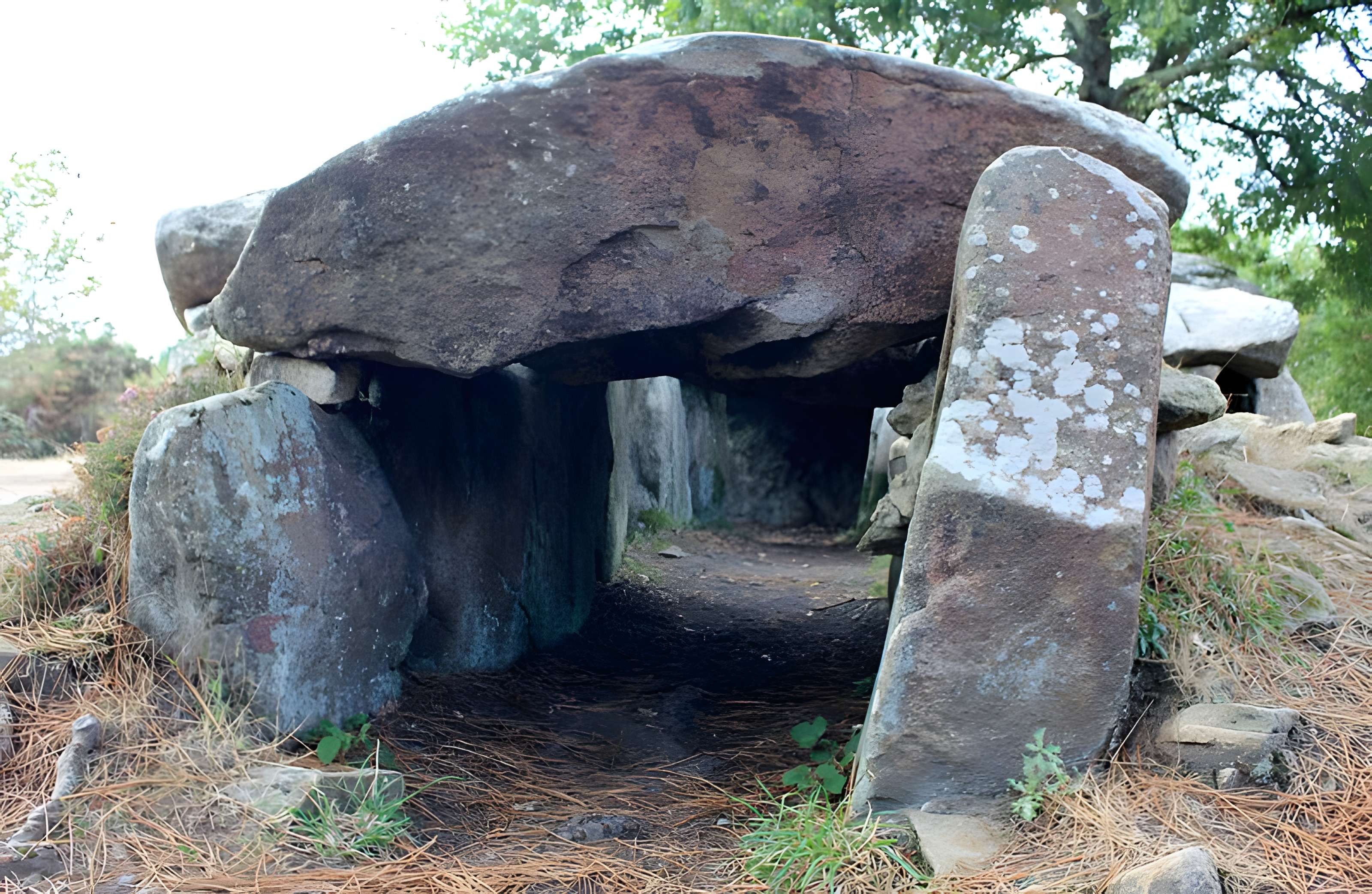 Dolmens de Mané-Bras dits Lann-Mané-Bras