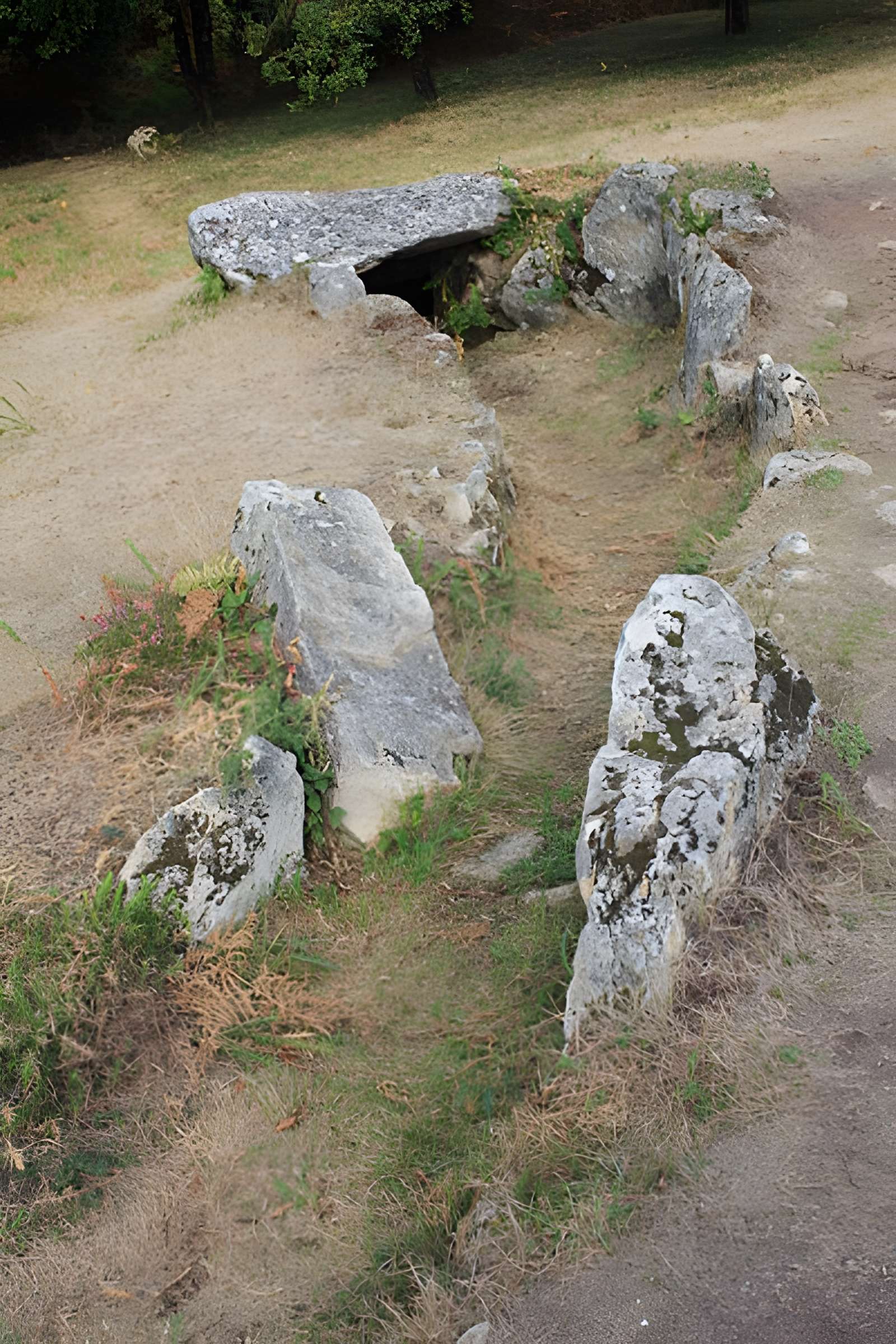 Dolmens de Mané-Bras dits Lann-Mané-Bras