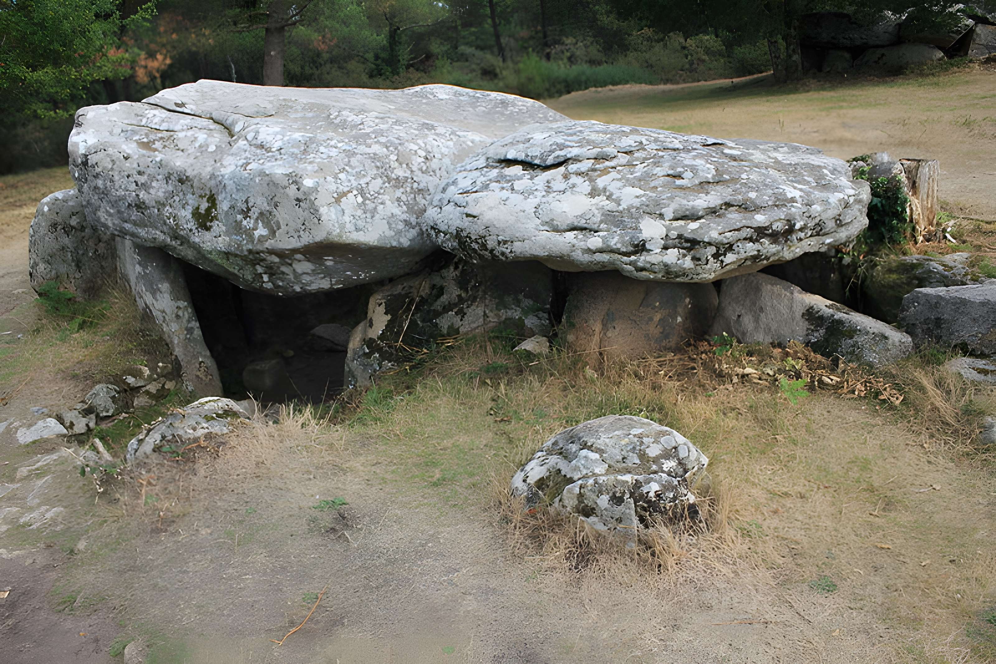 Dolmens de Mané-Bras dits Lann-Mané-Bras