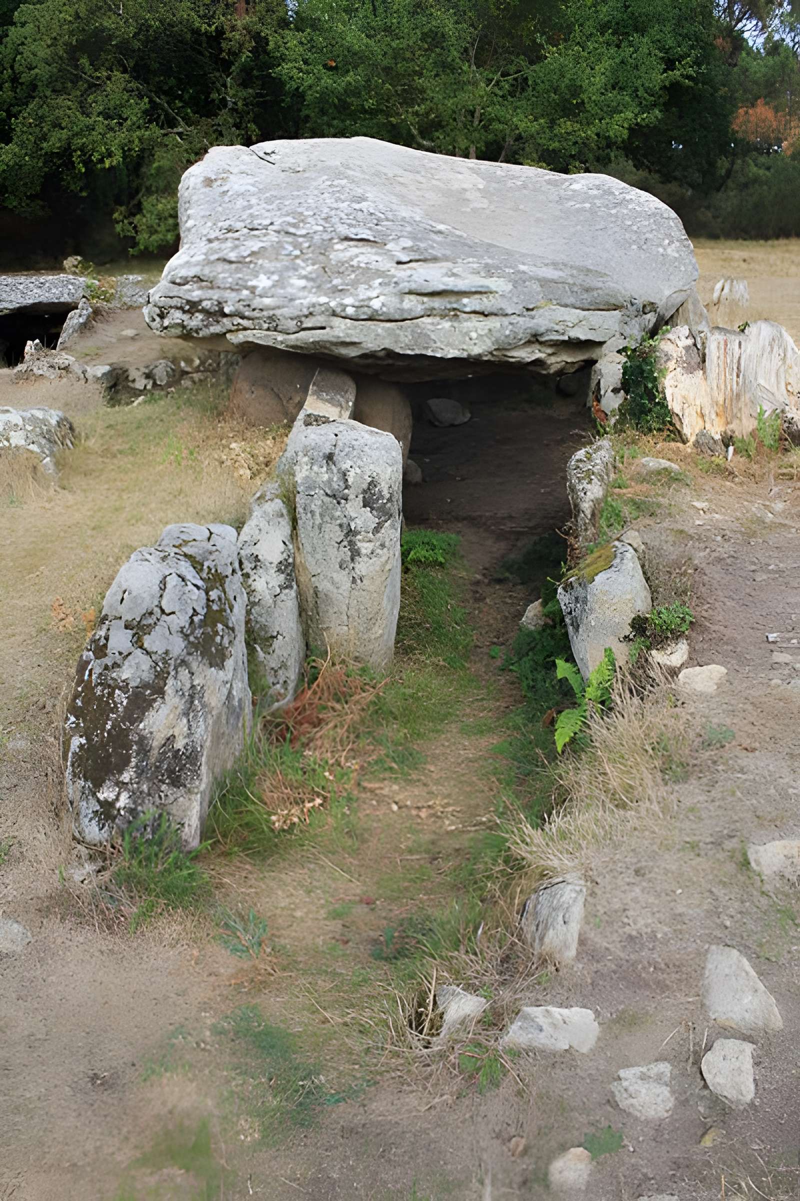 Dolmens de Mané-Bras dits Lann-Mané-Bras