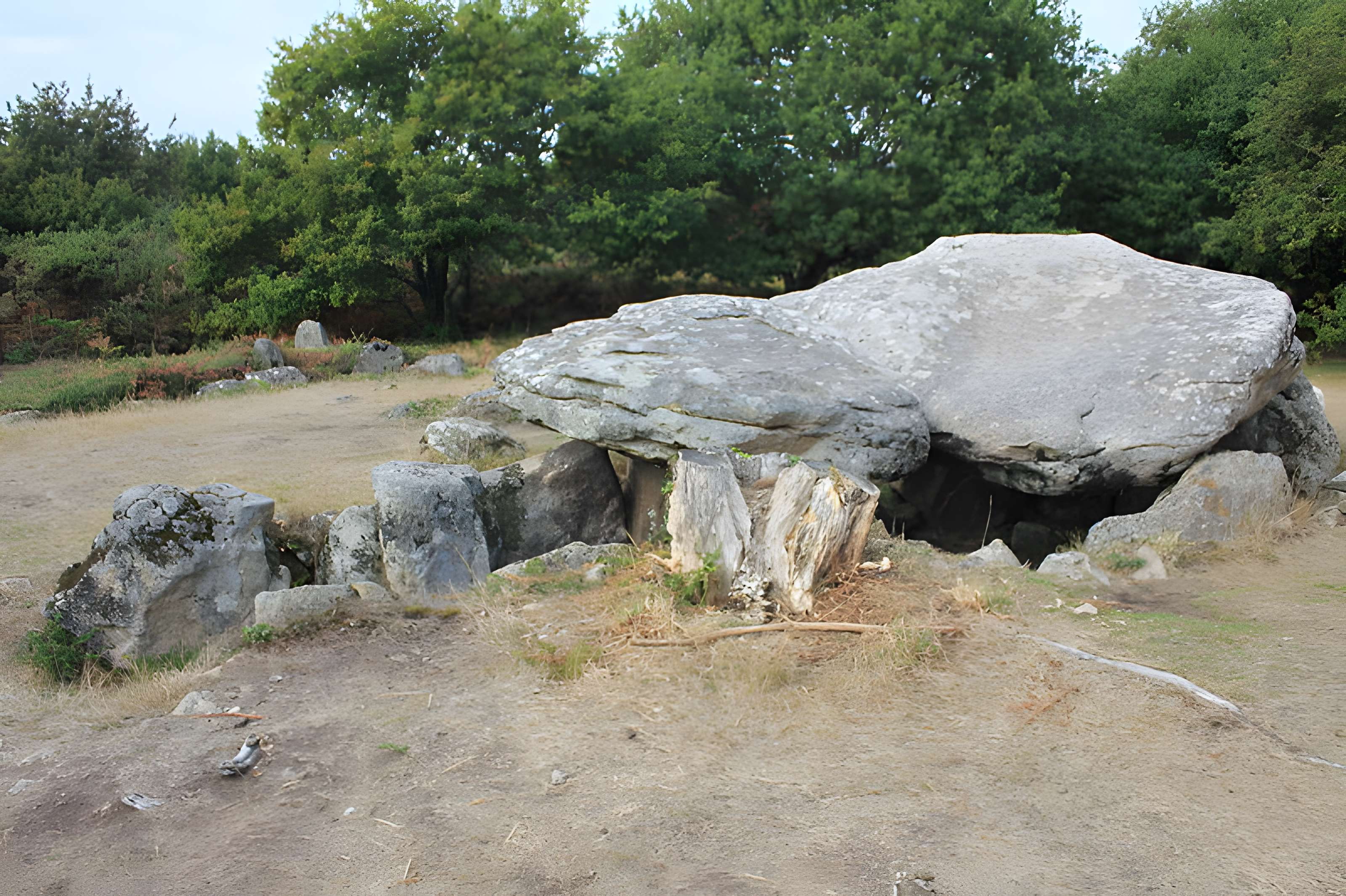 Dolmens de Mané-Bras dits Lann-Mané-Bras
