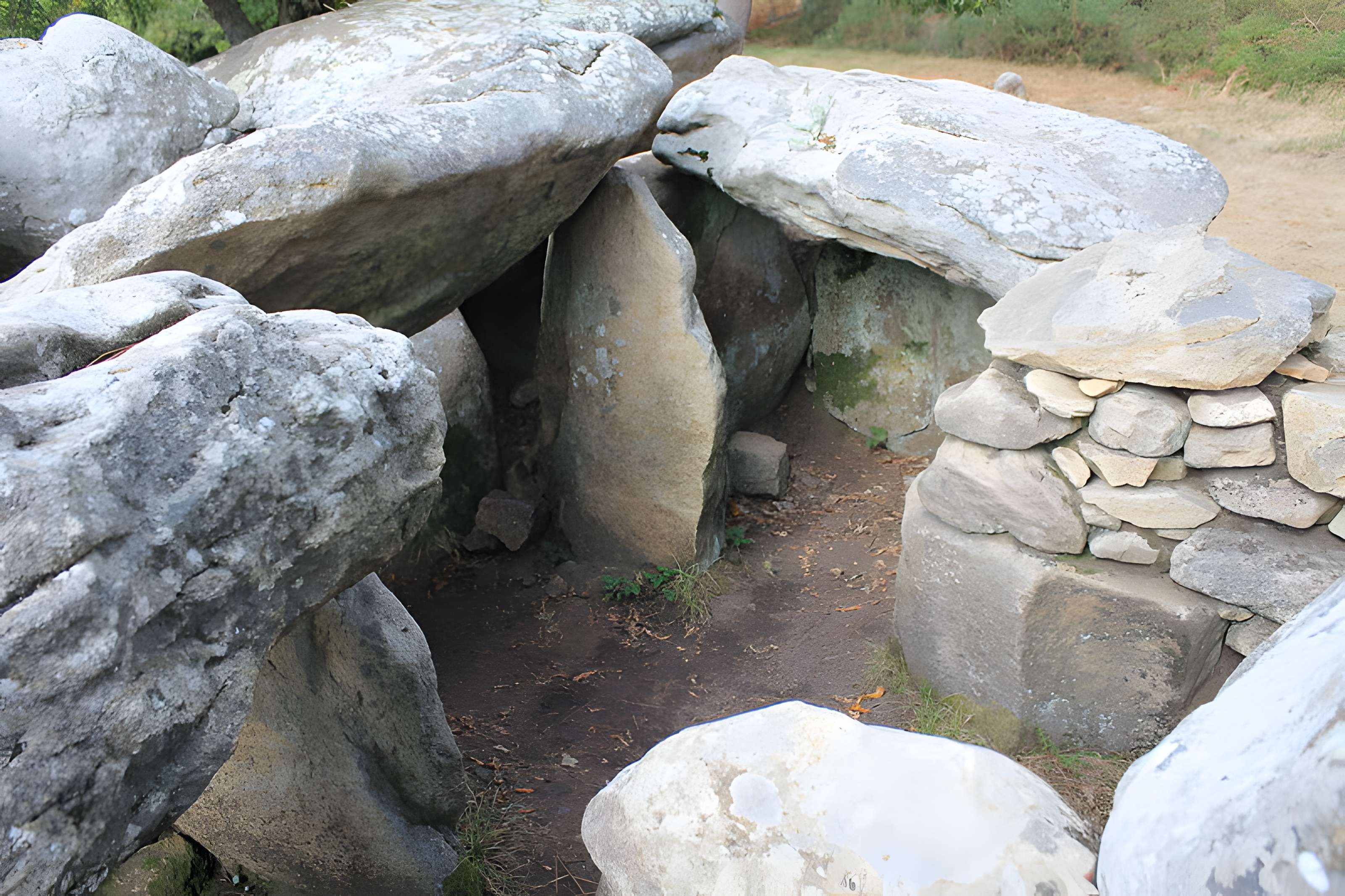 Dolmens de Mané-Bras dits Lann-Mané-Bras