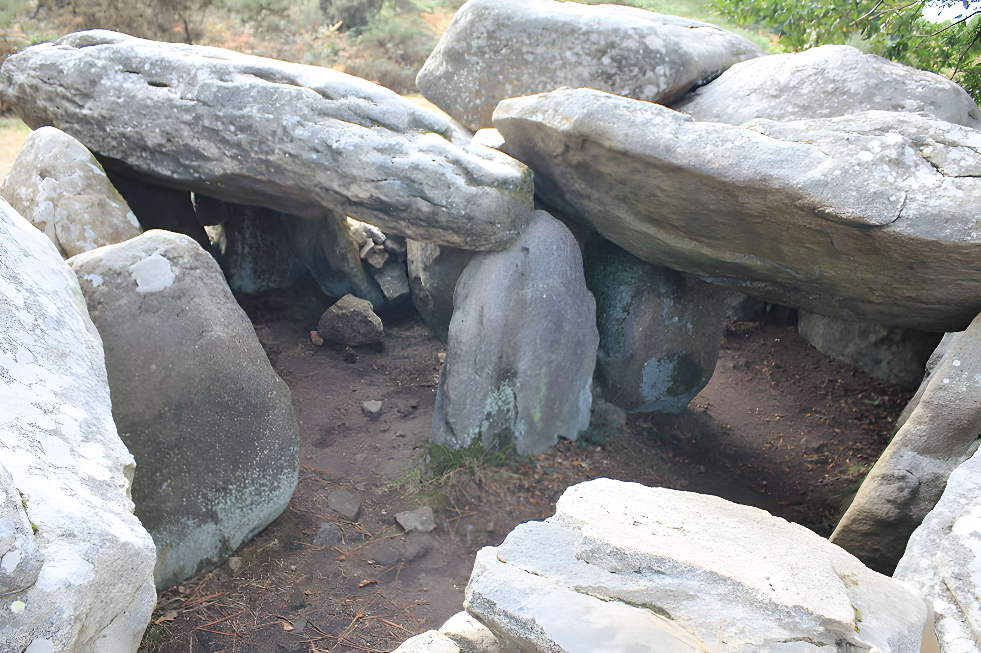 Dolmens de Mané-Bras dits Lann-Mané-Bras