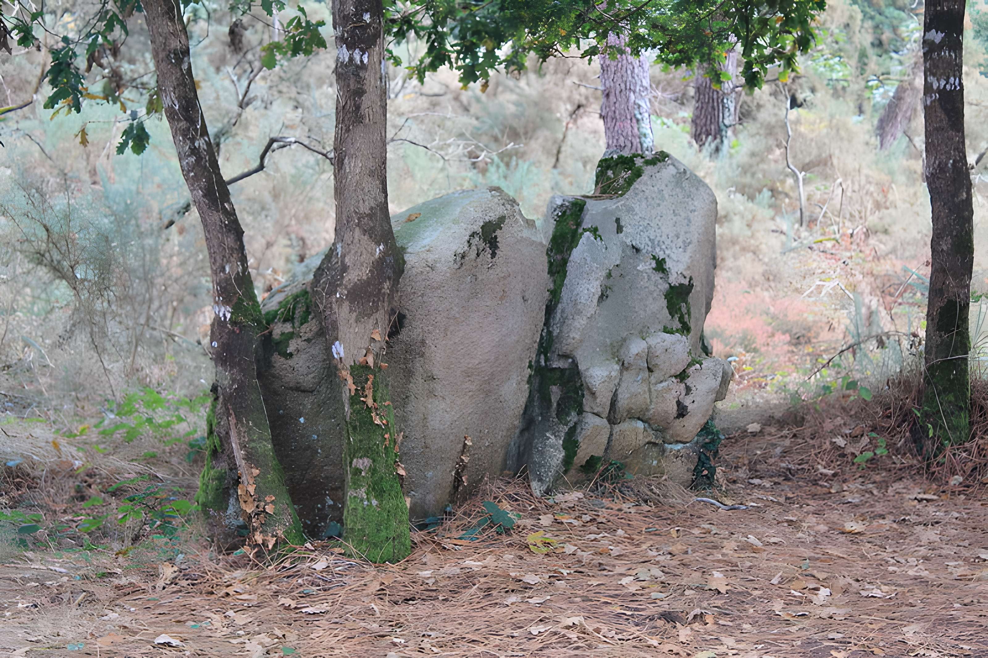 Dolmens de Mané-Bras dits Lann-Mané-Bras