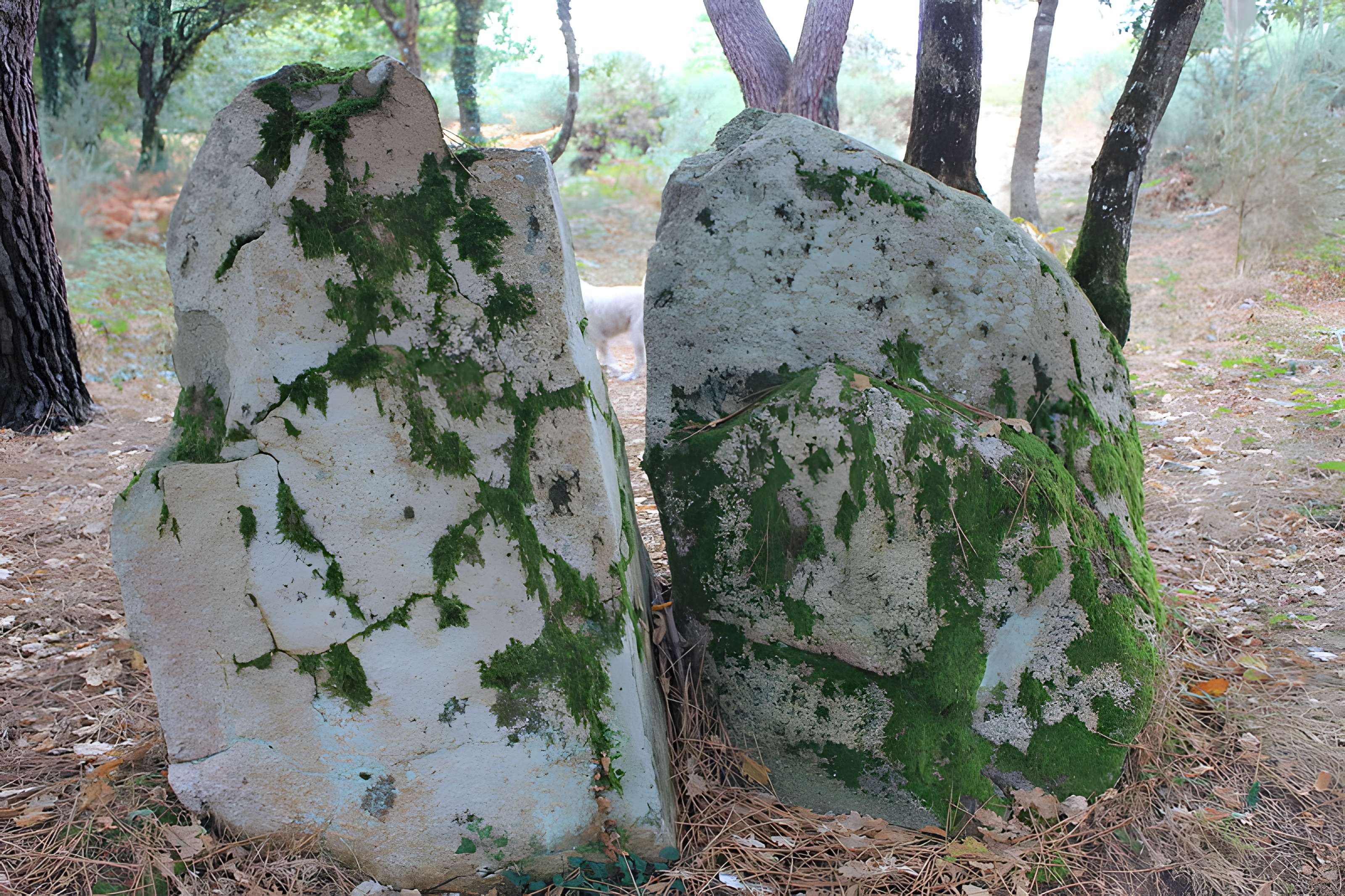 Dolmens de Mané-Bras dits Lann-Mané-Bras