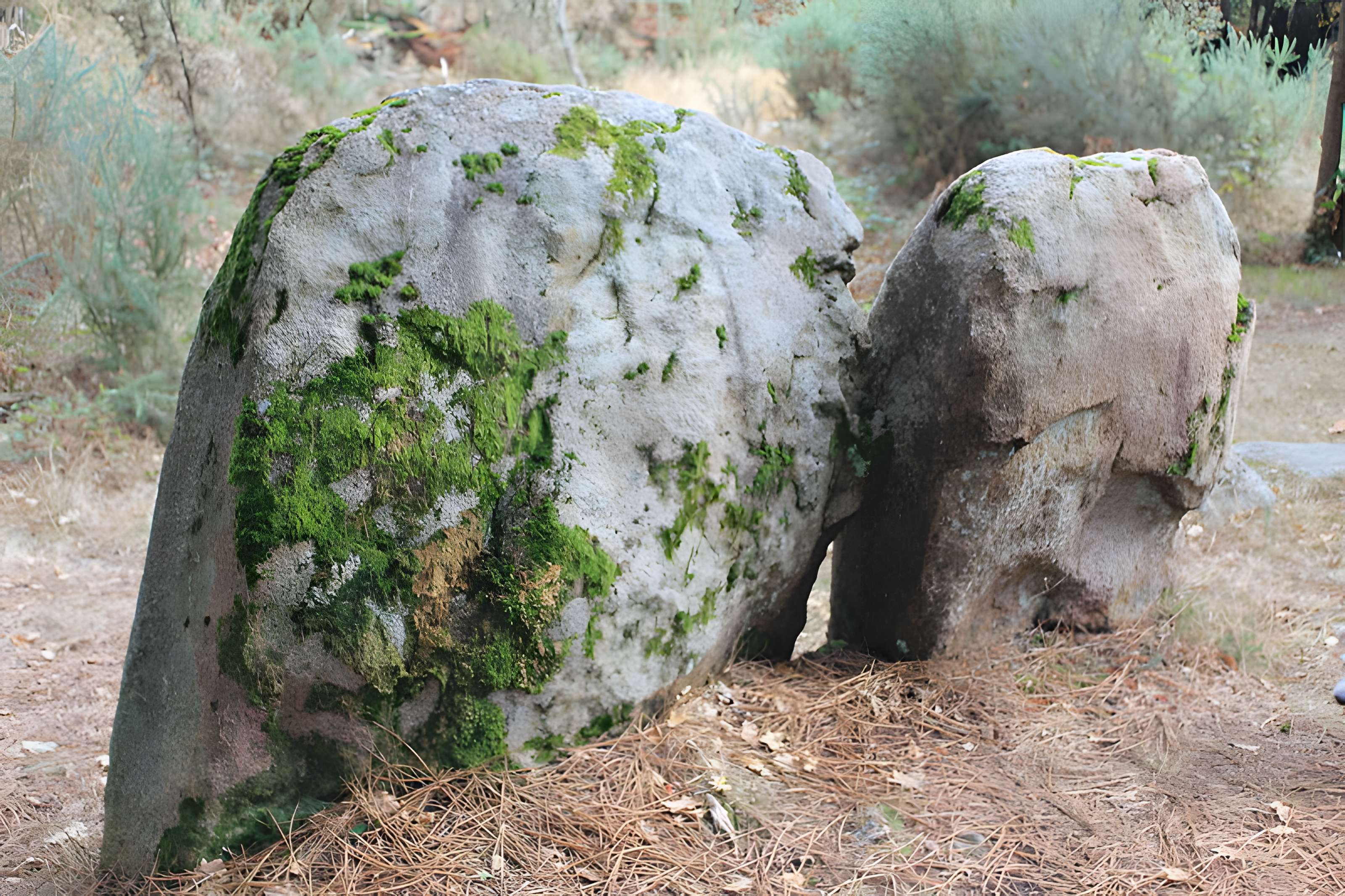 Dolmens de Mané-Bras dits Lann-Mané-Bras