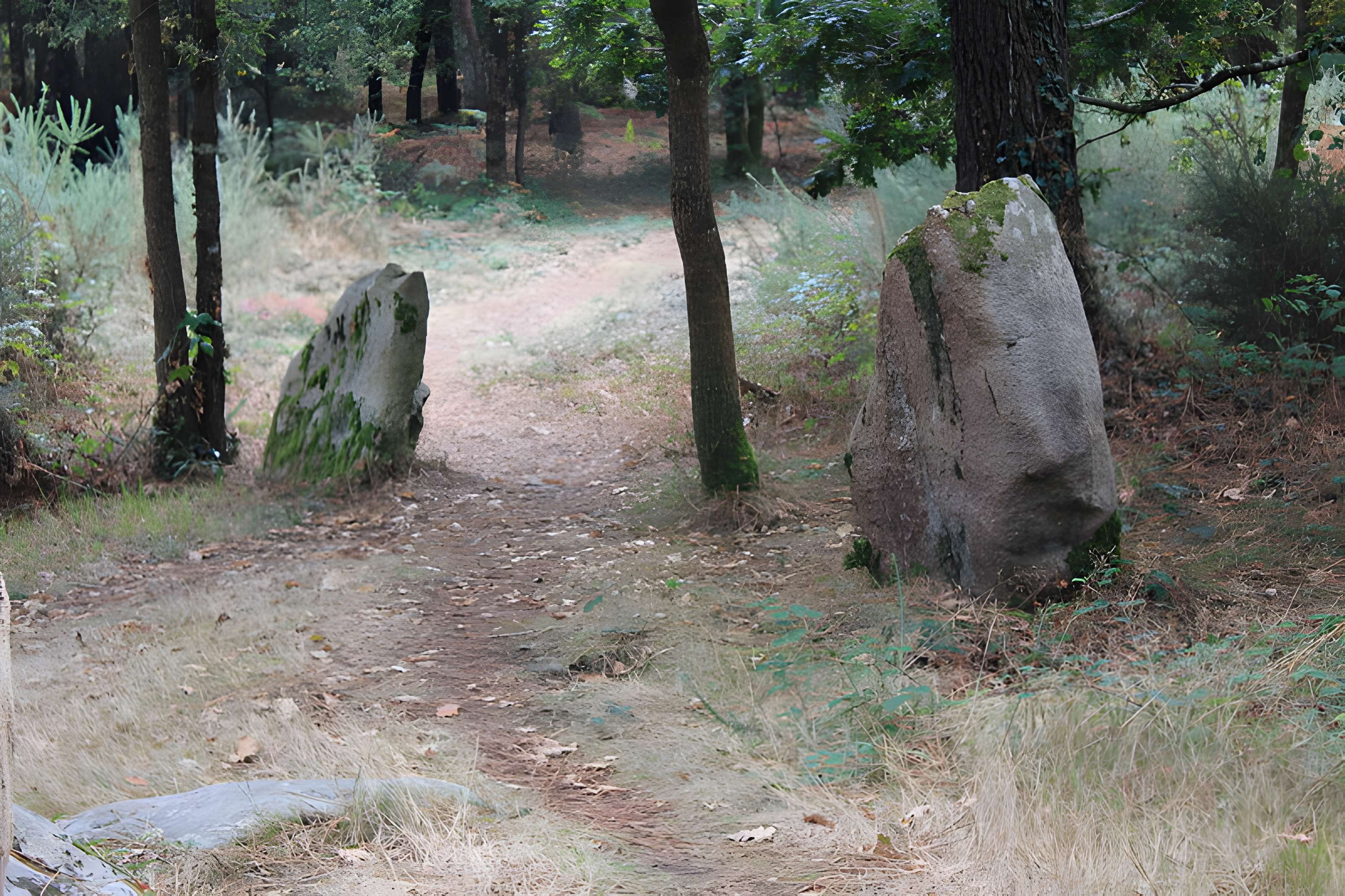 Dolmens de Mané-Bras dits Lann-Mané-Bras