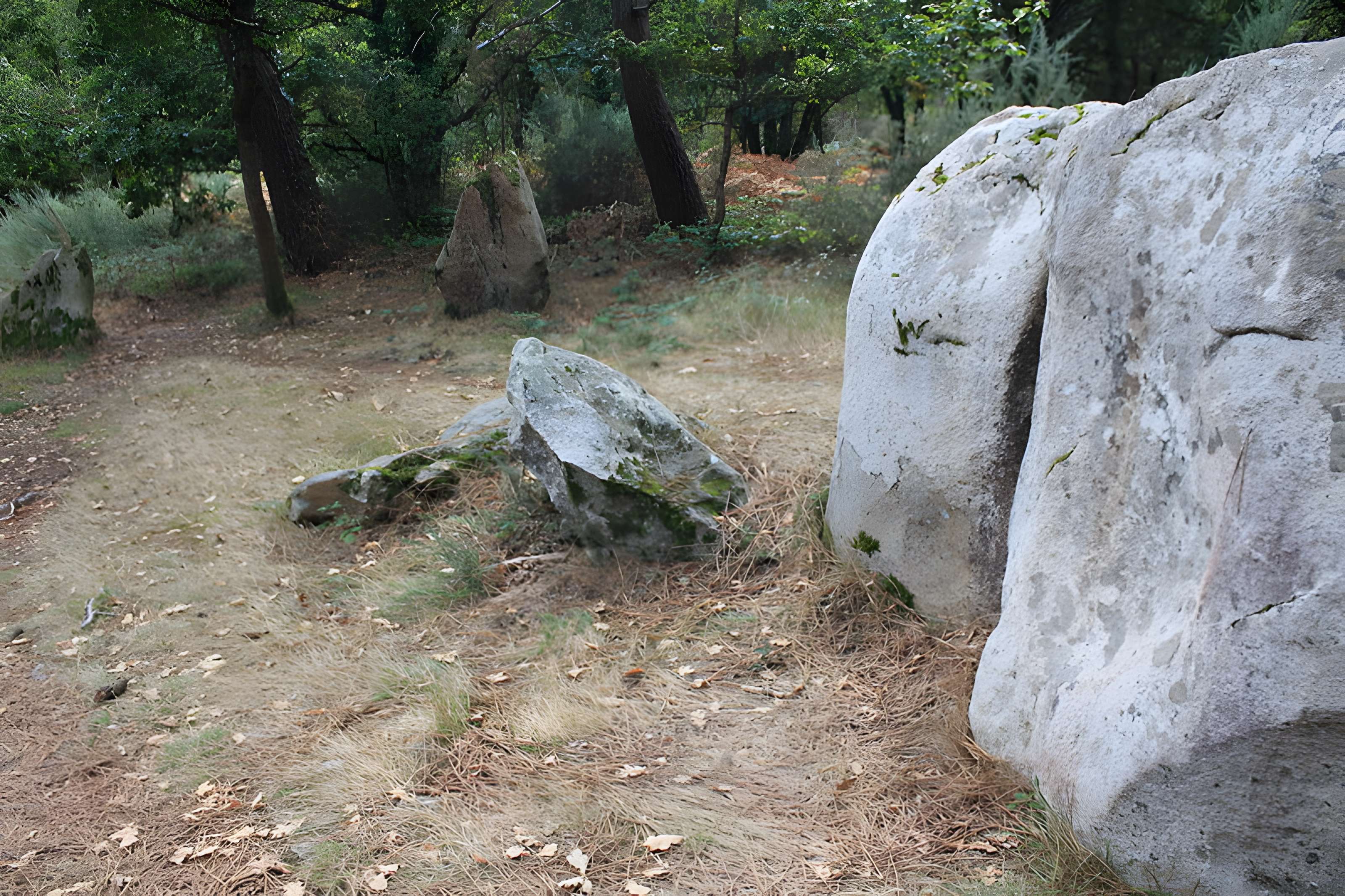 Dolmens de Mané-Bras dits Lann-Mané-Bras