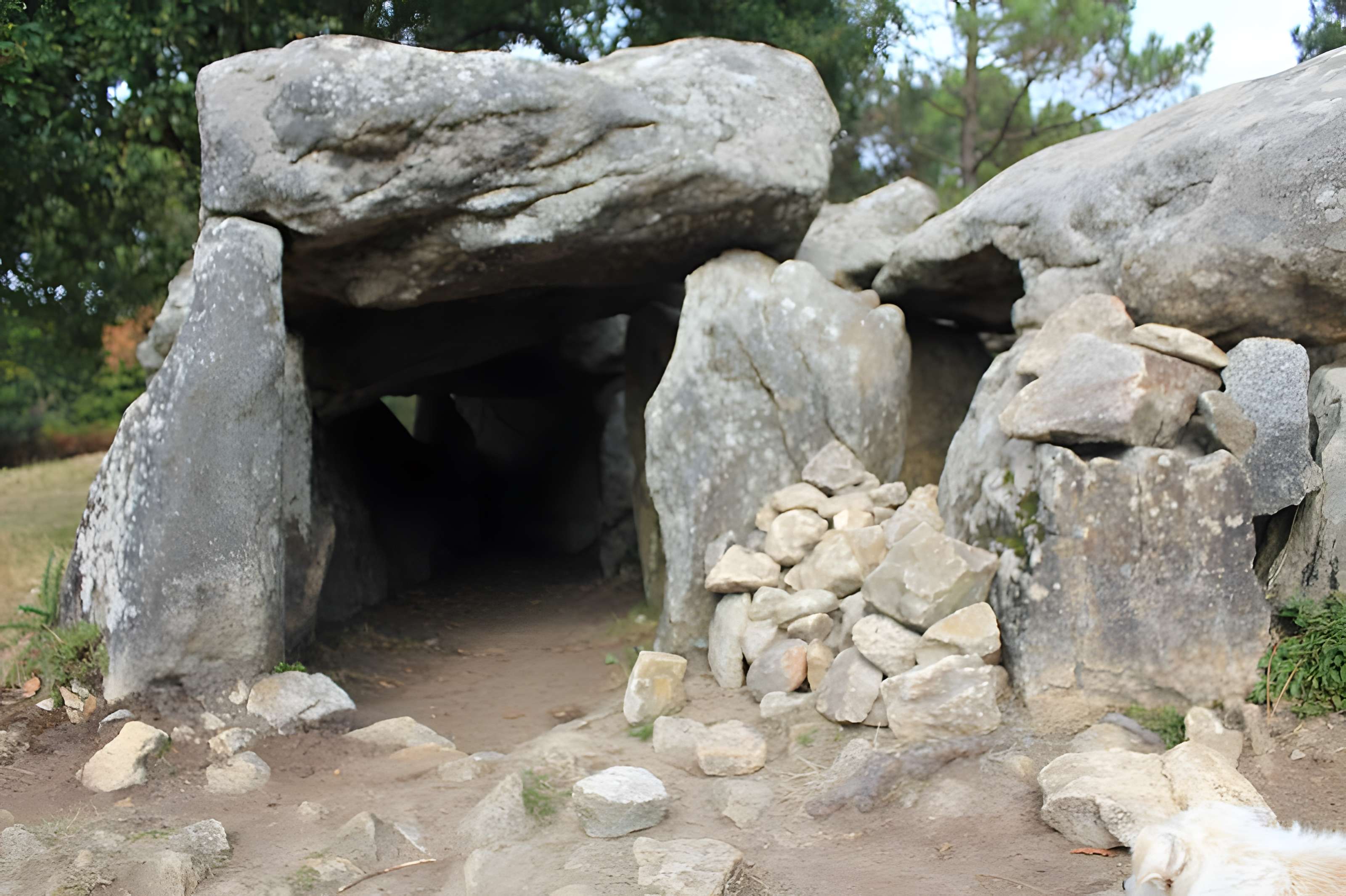 Dolmens de Mané-Bras dits Lann-Mané-Bras
