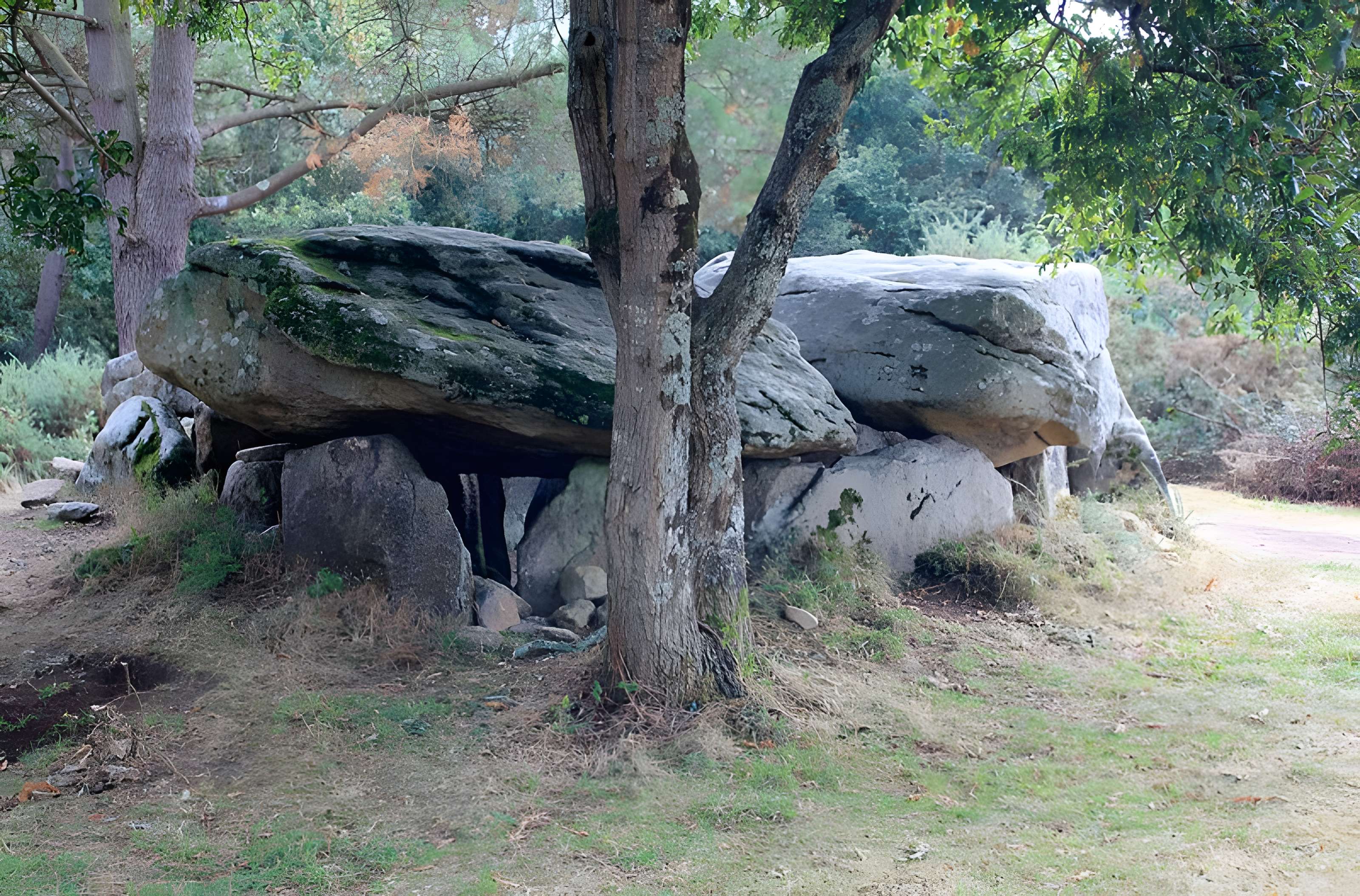 Dolmens de Mané-Bras dits Lann-Mané-Bras