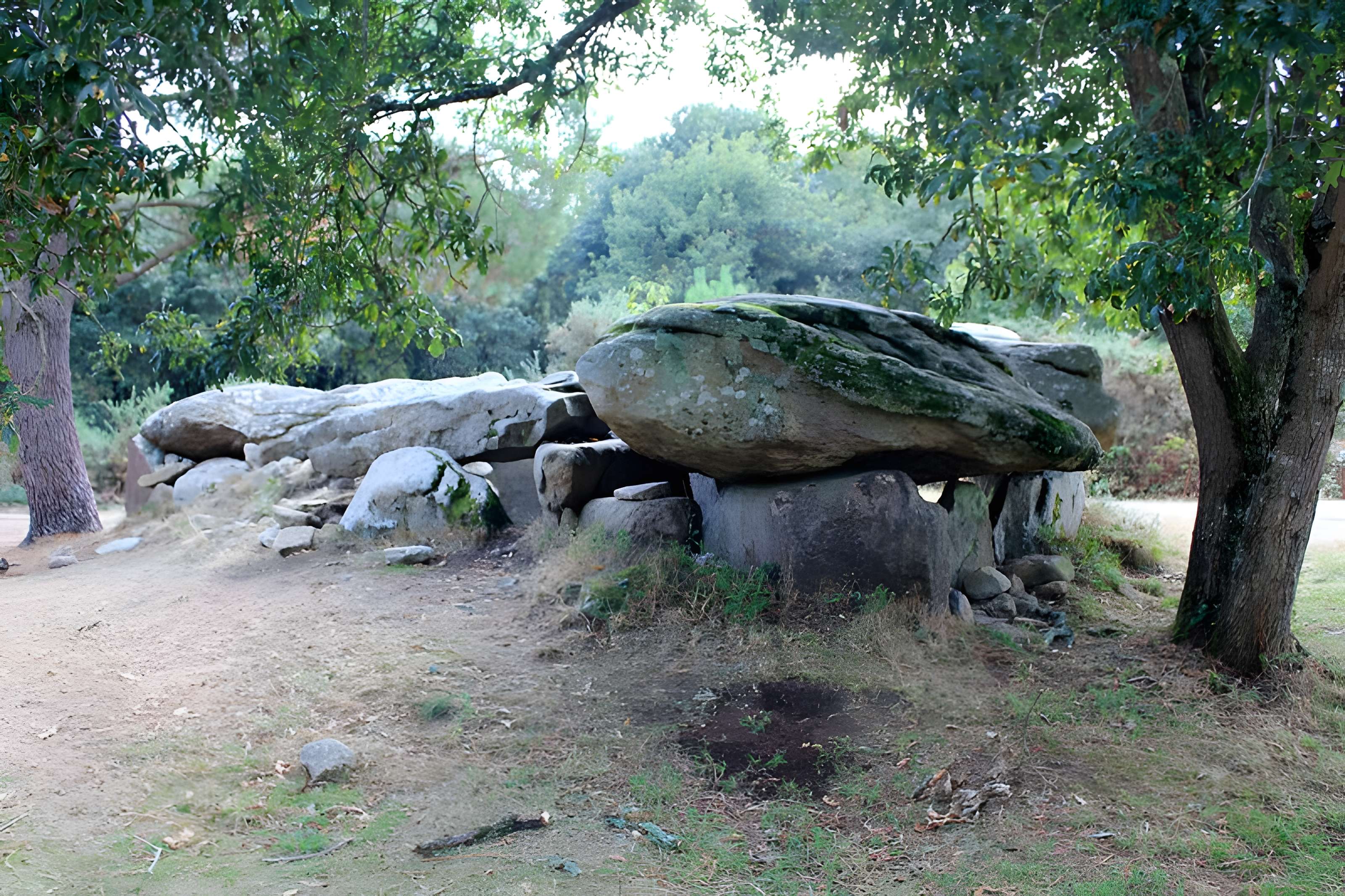 Dolmens de Mané-Bras dits Lann-Mané-Bras