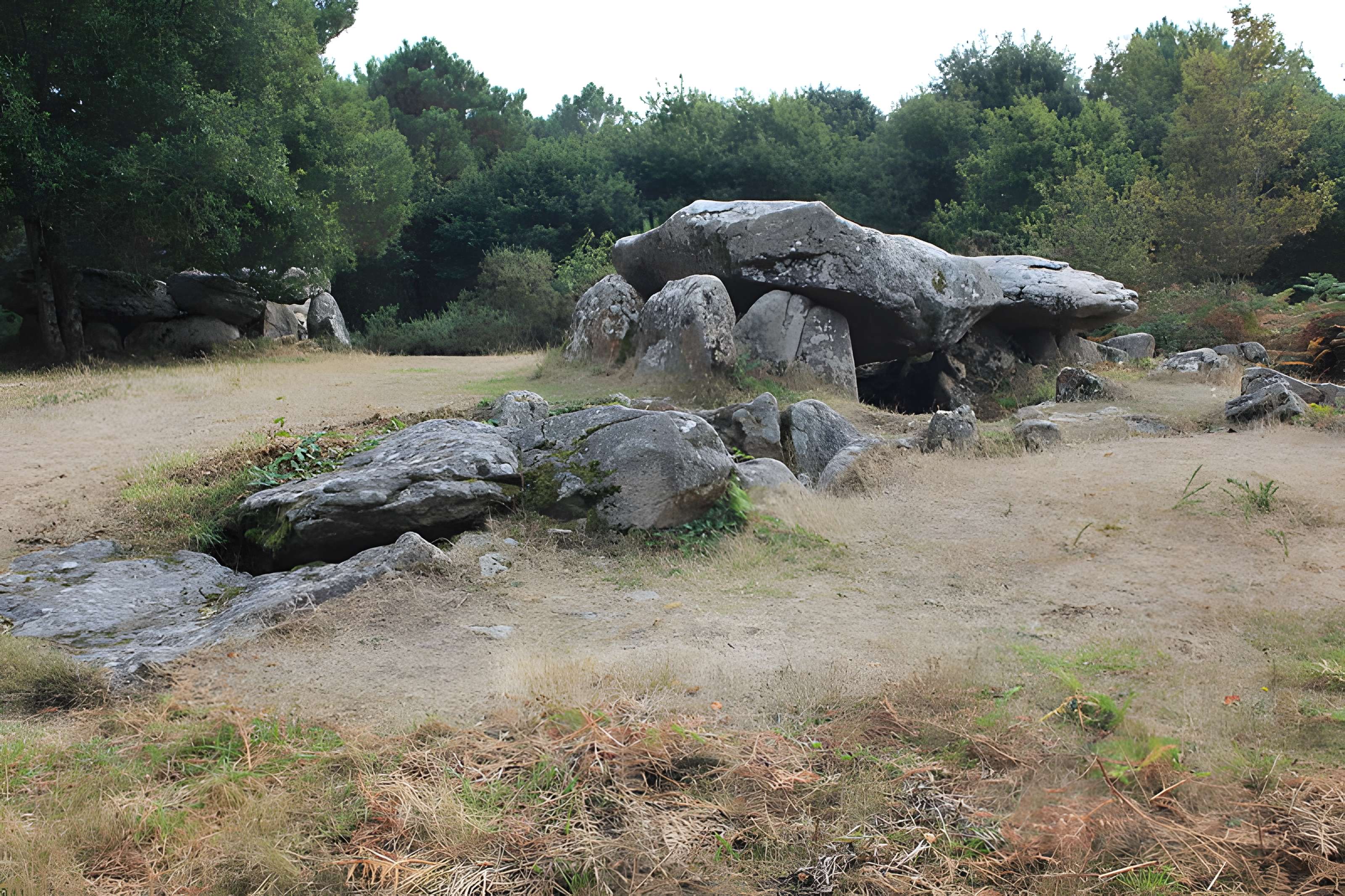 Dolmens de Mané-Bras dits Lann-Mané-Bras